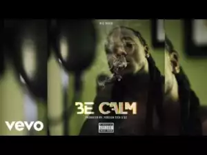 Video: Ace Hood - Be Calm